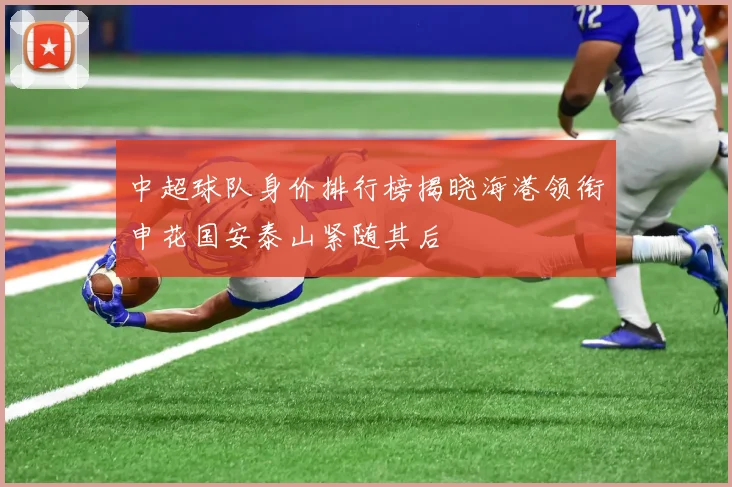中超球队身价排行榜揭晓海港领衔申花国安泰山紧随其后