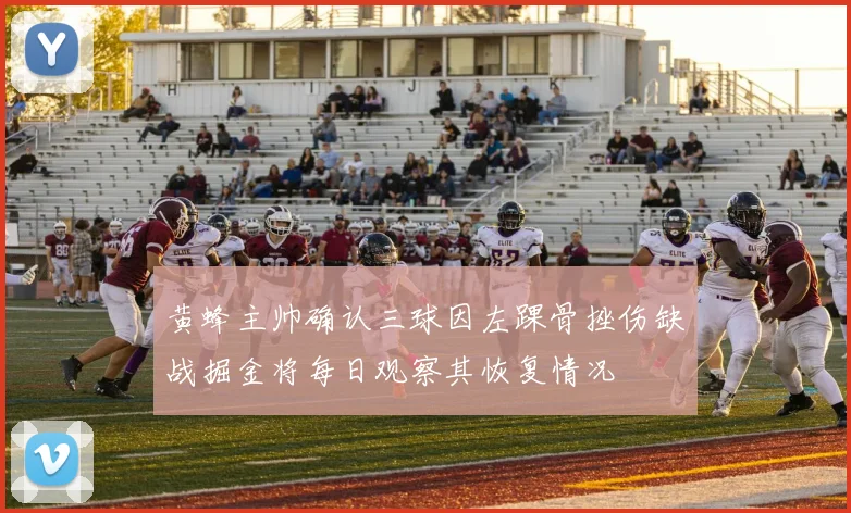黄蜂主帅确认三球因左踝骨挫伤缺战掘金将每日观察其恢复情况