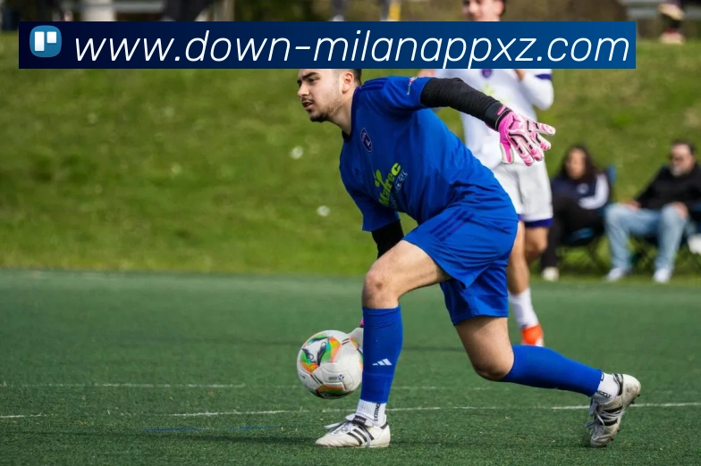 米兰体育平台生态图